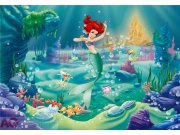 Fototapeta Ariel big FTDXXL-0254, rozměry 360 x 270 cm Fototapety skladem