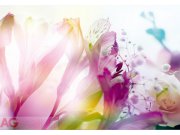 Fototapeta Light Flowers FTXXL-0125, rozměry 360 x 270 cm Fototapety skladem