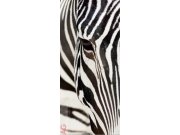 Fototapeta Zebra FTV-0211, rozměry 90 x 202 cm Fototapety papírové