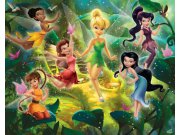 Fototapeta 3D Fairies Walltastic 41325, 305 x 244 cm Fototapety pro děti - Rozměr 244 x 305 cm