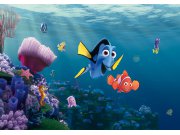 Fototapeta Nemo FTDNXXL-XXL5061, rozměry 360 x 270 cm Fototapety pro děti - Fototapety dětské vliesové