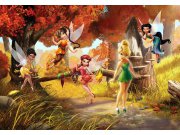 Fototapeta Fairies FTDNXXL-XXL5062, rozměry 360 x 270 cm Fototapety pro děti - Fototapety dětské vliesové