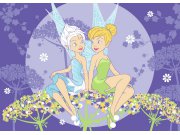 Dětský koberec Fairies a Periwinkle | rozměry 95 x 133 cm Dětské koberce