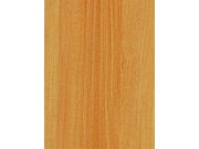 Samolepící fólie na dveře Buk nevada 99-6130 | 2,1 m x 90 cm Tapety samolepící