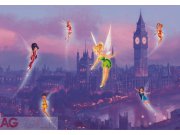 Fototapeta Fairies in the night FTDNXXL-XXL5008, rozměry 360 x 270 cm Fototapety pro děti - Fototapety dětské vliesové