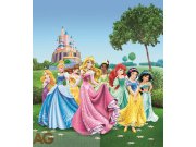 Vliesová fototapeta Princezny na louce FTDNXL-5112, rozměry 180 x 202 cm Fototapety pro děti - Fototapety dětské vliesové