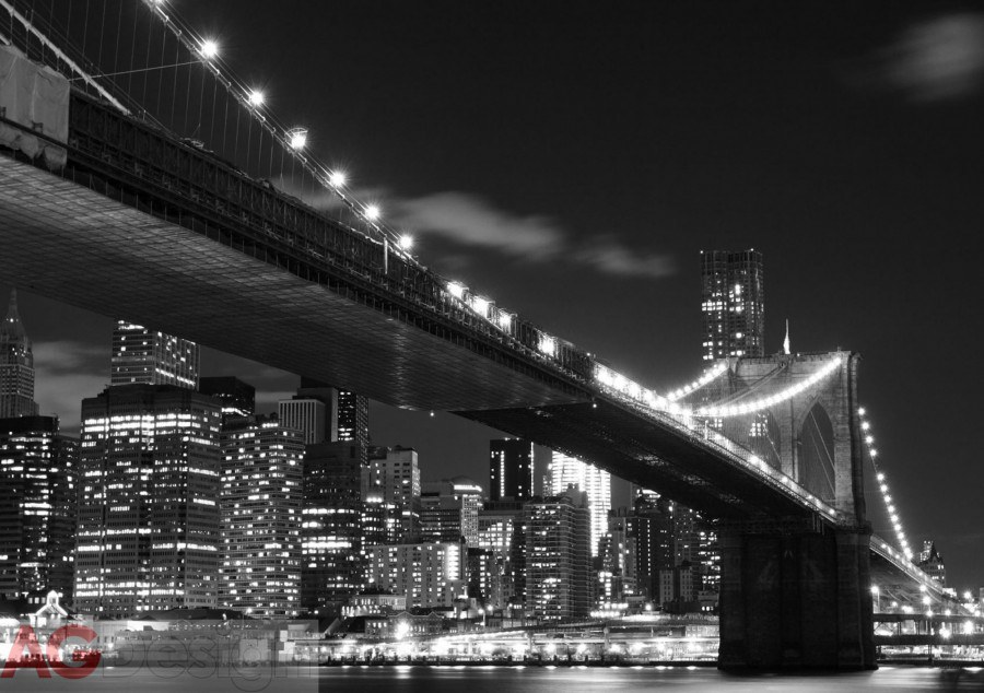 Fototapeta Bridge in Brooklyn FTS-1305, rozměry 360 x 254 cm
