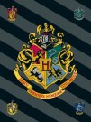 JERRY FABRICS Fleece deka Harry Potter HP067 Polyester, 100/150 cm Deky, spací pytle - fleece deky