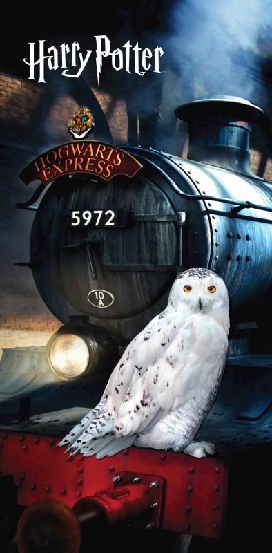 JERRY FABRICS Osuška Harry Potter Hedwig Bavlna - Froté, 70/140 cm - plážové osušky
