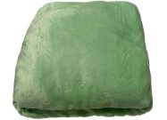 JERRY FABRICS Prostěradlo mikroplyš pastelově zelená Polyester, 90/200 cm Prostěradla - Microdream 90x200