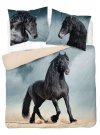 DETEXPOL Francouzské povlečení Black Horse Bavlna, 220/200, 2x70/80 cm Povlečení fototisk
