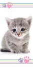 JERRY FABRICS Osuška Kitten colour Bavlna - Froté, 70/140 cm Osušky,ručníky, ponča, župany - plážové osušky