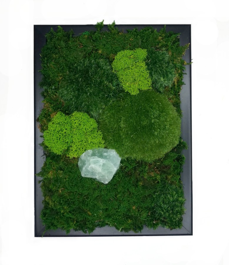 Mechový obraz Tři mechy a Fluorit 15x20cm - Mechové obrazy