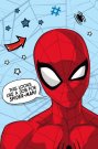 JERRY FABRICS Deka mikroflanel Spiderman Polyester, 100/150 cm Deky, spací pytle - micro deky