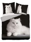 DETEXPOL Francouzské povlečení Perská kočka Bavlna, 220/200, 2x70/80 cm Povlečení fototisk