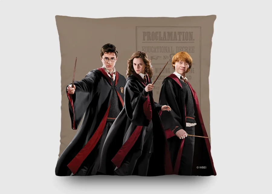 Dekorační polštář Harry Potter CND3155 | 40 x 40 cm - Dekorace Harry Potter