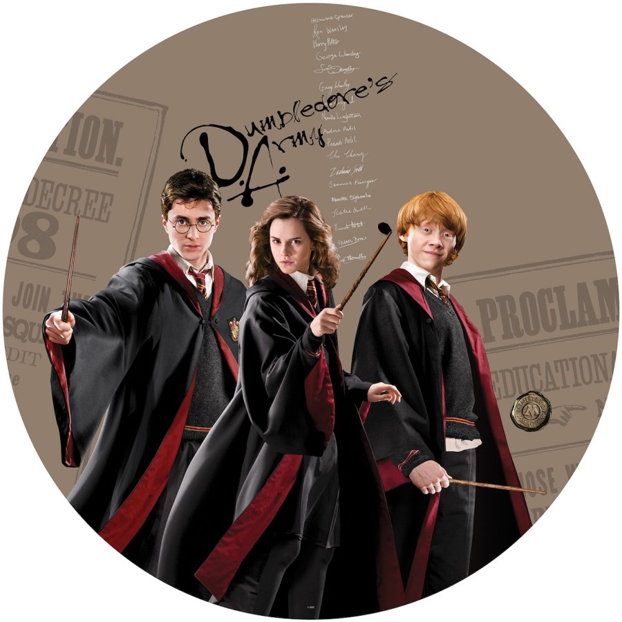 Samolepicí vliesová dekorace Harry Potter CRD5805 | průměr 70 cm - Dekorace Harry Potter