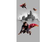 Vliesová fototapeta Harry Potter FTD2P5613 | 150 x 270 cm Fototapety pro děti - Fototapety dětské vliesové