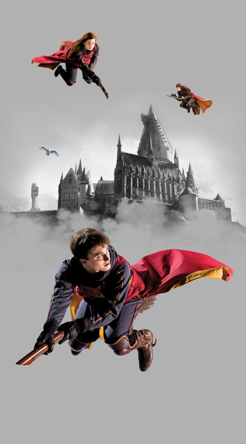 Vliesová fototapeta Harry Potter FTD2P5613 | 150 x 270 cm - Fototapety dětské vliesové