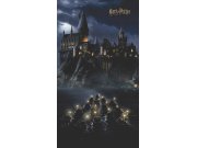 Vliesová fototapeta Harry Potter FTD2P5621 | 150 x 270 cm Fototapety pro děti - Fototapety dětské vliesové