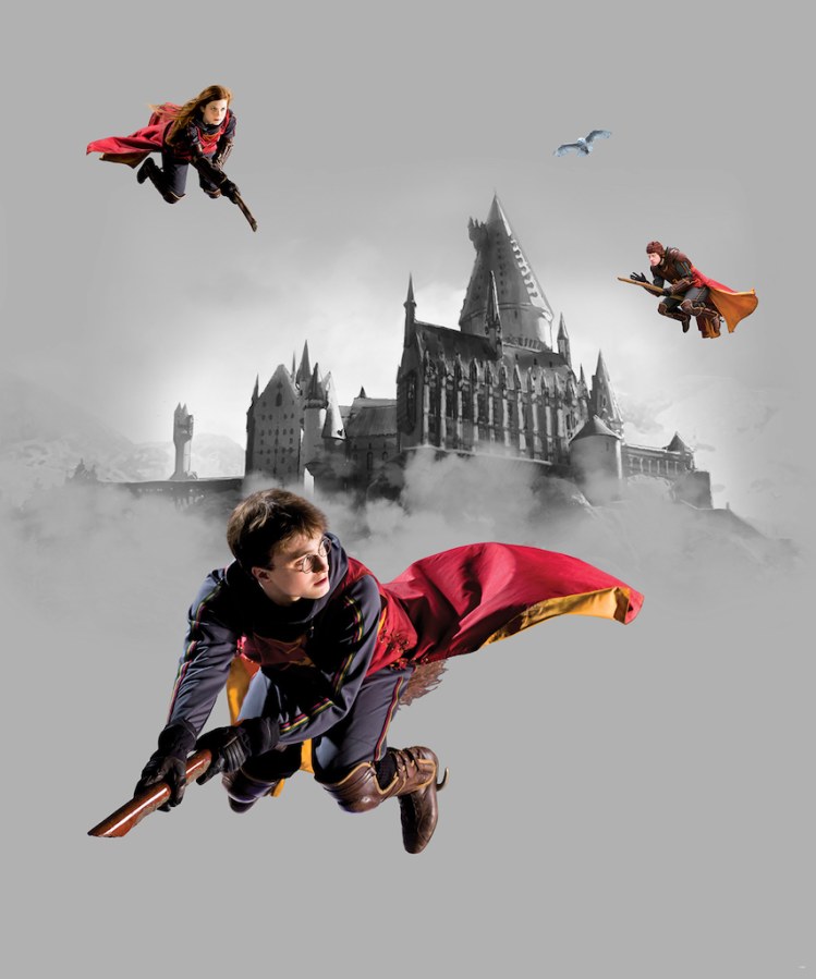 Vliesová fototapeta Harry Potter FTD3P5167 | 225 x 270 cm - Fototapety dětské vliesové