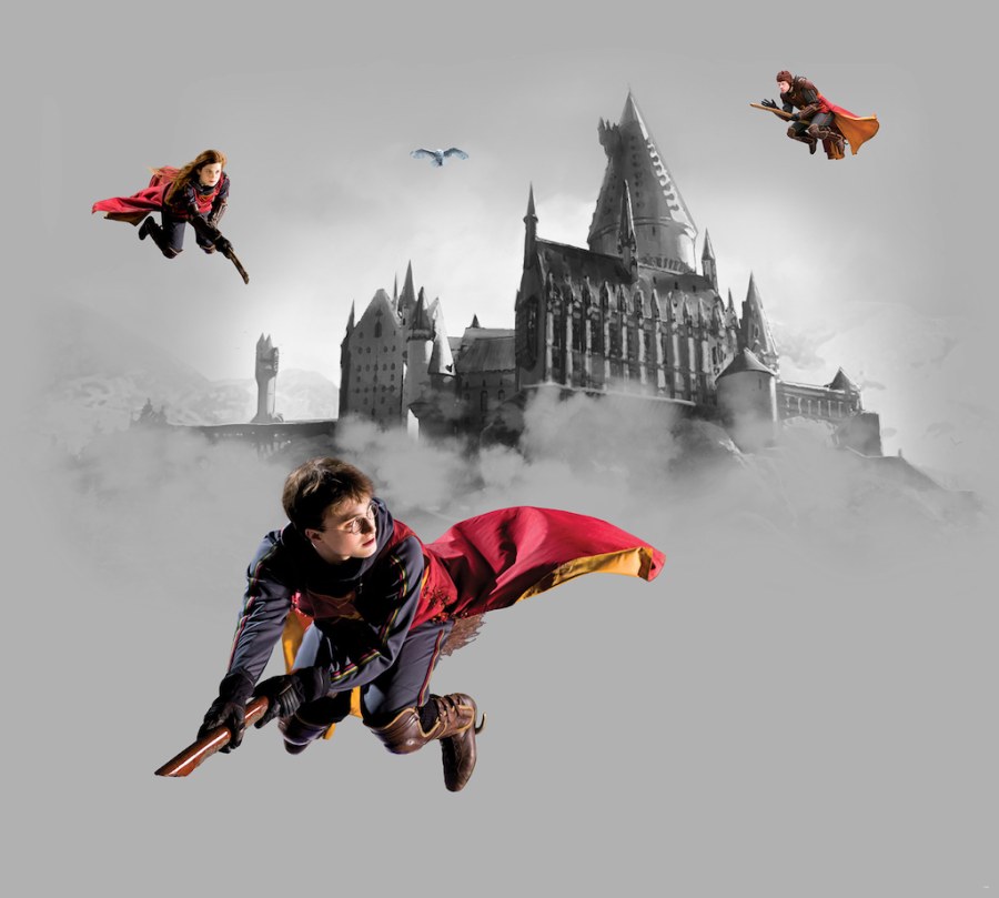 Vliesová fototapeta Harry Potter FTD4P5095 | 300 x 270 cm - Fototapety dětské vliesové