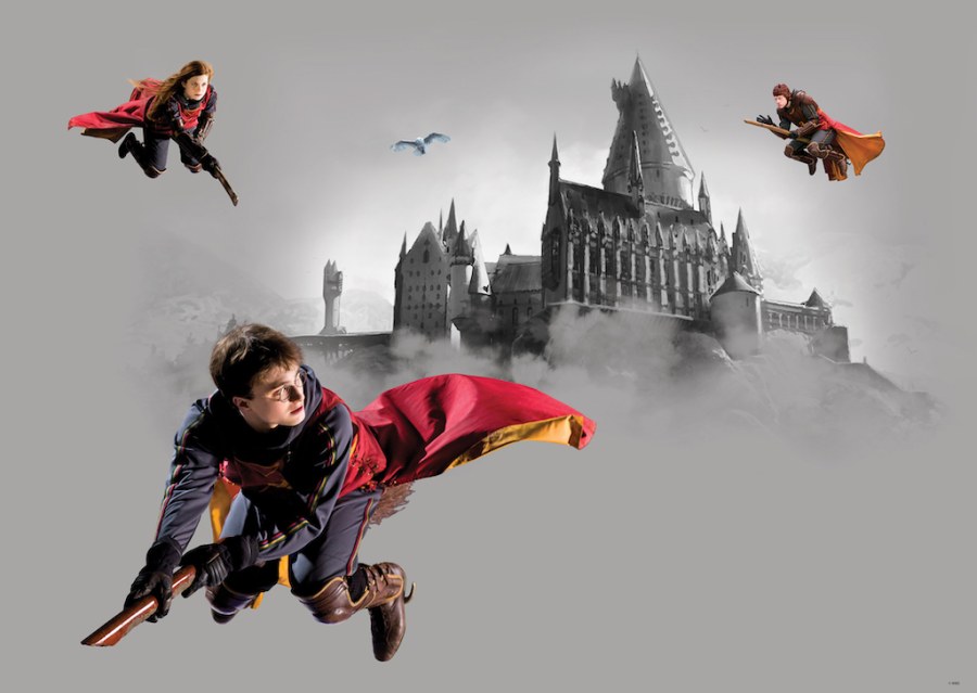 Vliesová fototapeta Harry Potter FTDNM5293 | 155 x 110 cm - Fototapety dětské vliesové