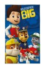 DETEXPOL Dětský ručník Paw Patrol no job Bavlna - Froté, 50/30 cm