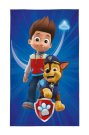 DETEXPOL Dětský ručník Paw Patrol Alex a Chase Bavlna - Froté, 50/30 cm