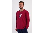 Pánské pyžamo dlouhé Bowling