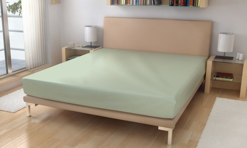 Polášek Froté prostěradlo Mintová Bavlna, Polyamid, 220g/m, 180/200 cm - Froté 180x200