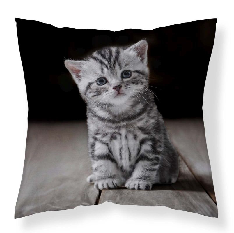 Polštářky - povláčky na polštářky - DETEXPOL Povlak na polštářek Koťátko micro Polyester, 40/40 cm DETEXPOL Povlak na polštářek Koťátko micro Polyester, 40/40 cm - povláčky na polštářky