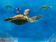 Fototapeta Nemo a velká Želva FTDNXXL-XXL5034, rozměry 360 x 270 cm Fototapety pro děti - Fototapety dětské vliesové