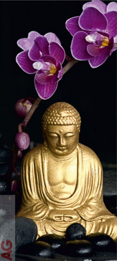 Fototapeta Buddha FTNV-2805, rozměry 90 x 202 cm