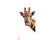 Fototapeta Pohled Žirafy FTNV-2851, rozměry 90 x 202 cm