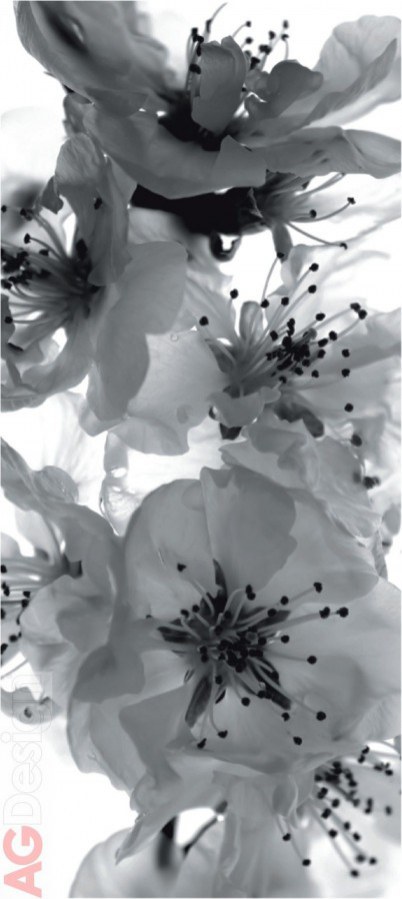 Fototapeta Černobílá Květiny FTNV-2863, rozměry 90 x 202 cm