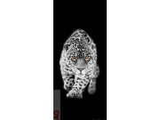 Fototapeta Leopard FTNV-2897, rozměry 90 x 202 cm