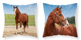 DETEXPOL Povlak na polštářek Kůň v ohradě micro Polyester, 40/40 cm Polštářky - povláčky na polštářky