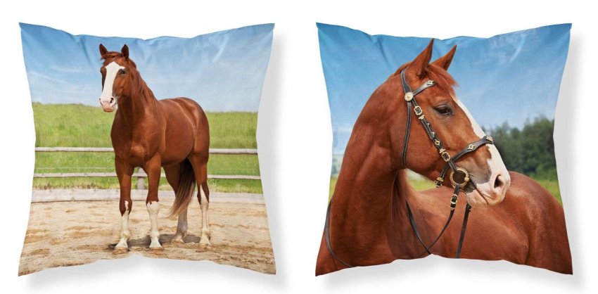 DETEXPOL Povlak na polštářek Kůň v ohradě micro Polyester, 40/40 cm - povláčky na polštářky