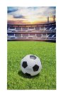 DETEXPOL Dětský ručník Fotbal Bavlna - Froté, 50/30 cm Osušky,ručníky, ponča - Dětské ručníky 50x30 cm