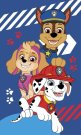 JERRY FABRICS Dětský ručník Paw Patrol blue Bavlna - Froté, 50/30 cm Osušky,ručníky, ponča - Dětské ručníky 50x30 cm