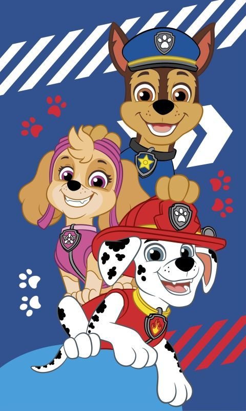 JERRY FABRICS Dětský ručník Paw Patrol blue Bavlna - Froté, 50/30 cm - Dětské ručníky 50x30 cm