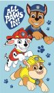 JERRY FABRICS Dětský ručník Paw Patrol Boys Bavlna - Froté, 50/30 cm Osušky,ručníky, ponča - Dětské ručníky 50x30 cm