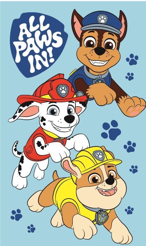 JERRY FABRICS Dětský ručník Paw Patrol Boys Bavlna - Froté, 50/30 cm - Dětské ručníky 50x30 cm