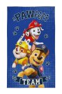 DETEXPOL Dětský ručník Paw Patrol Team Bavlna - Froté, 50/30 cm Osušky,ručníky, ponča - Dětské ručníky 50x30 cm
