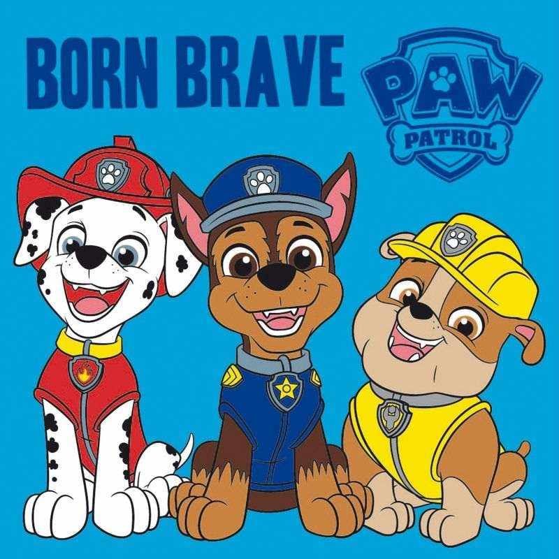 FARO Magický ručníček Paw Patrol Brave Bavlna - Froté, 30/30 cm - Dětské ručníky 50x30 cm