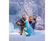 Vliesová fototapeta Ledové Království FTDNXL-5139, rozměry 180 x 202 cm Fototapety skladem