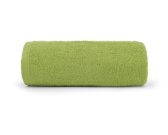 DETEXPOL Froté ručník PRIMO zelená Bavlna 450g, 50/30 cm