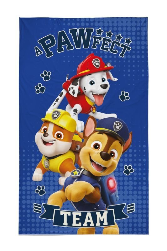 DETEXPOL Dětský ručník Paw Patrol Team Bavlna - Froté, 50/30 cm - Dětské ručníky 50x30 cm