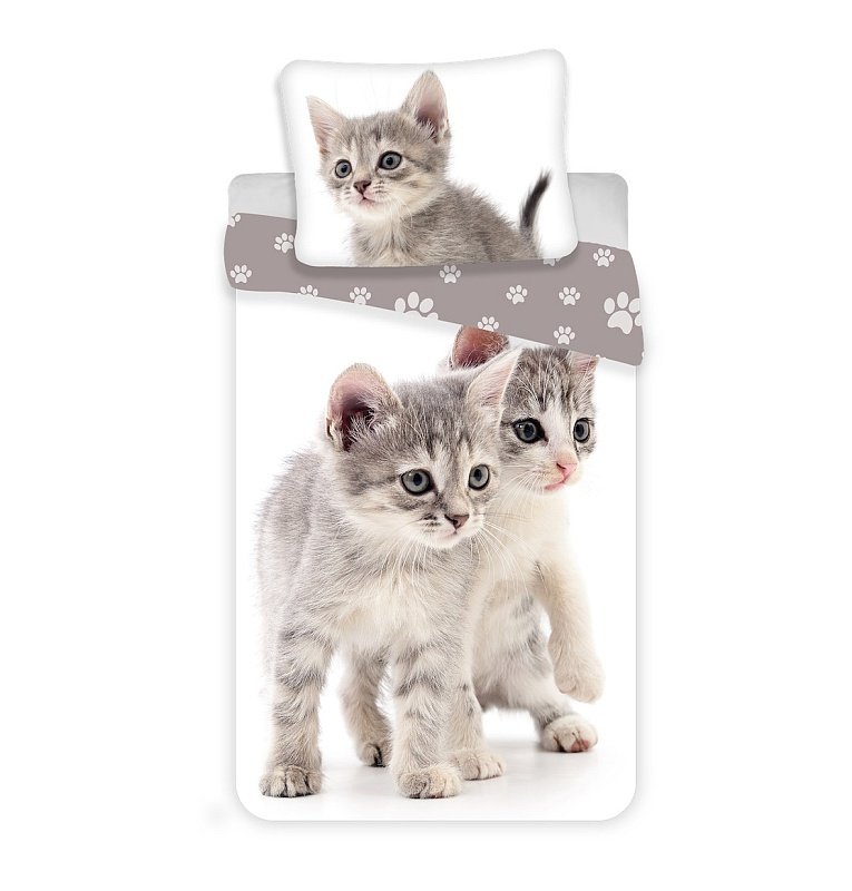 JERRY FABRICS Povlečení Kitten grey Bavlna, 140/200, 70/90 cm - Povlečení fototisk
